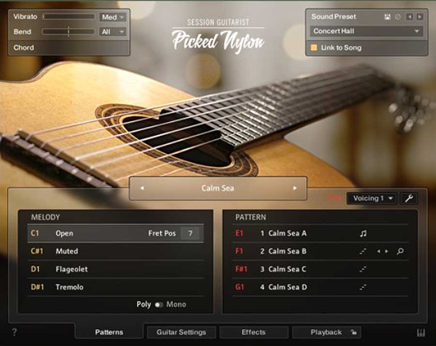 NI session guitarist picked nylon