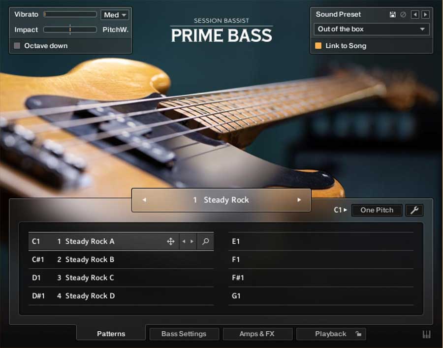 Native Instruments Session Bassist Prime Bass