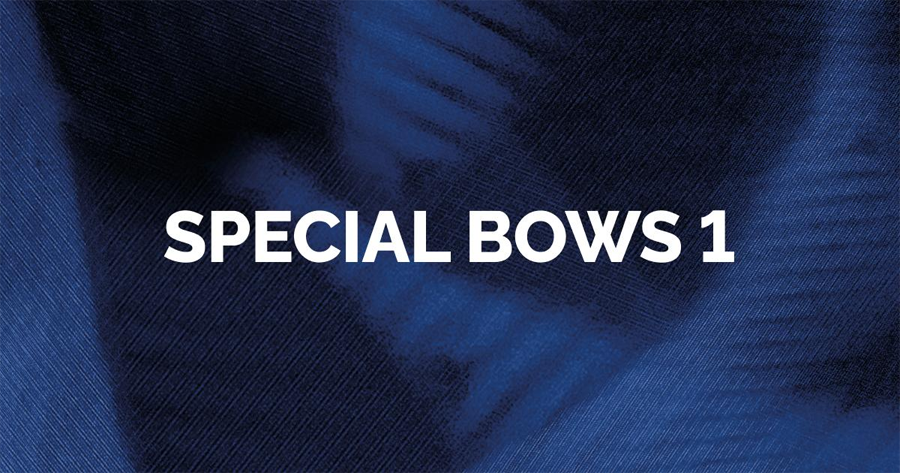 Orchestral Tools Berlin Strings Special Bows 1