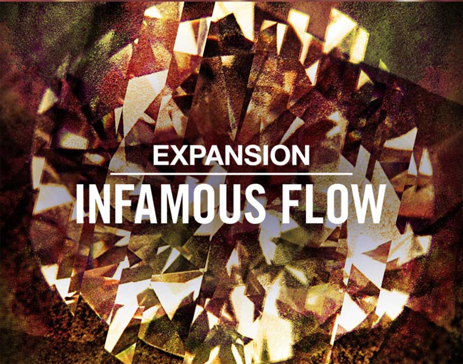 ni Infamous Flow